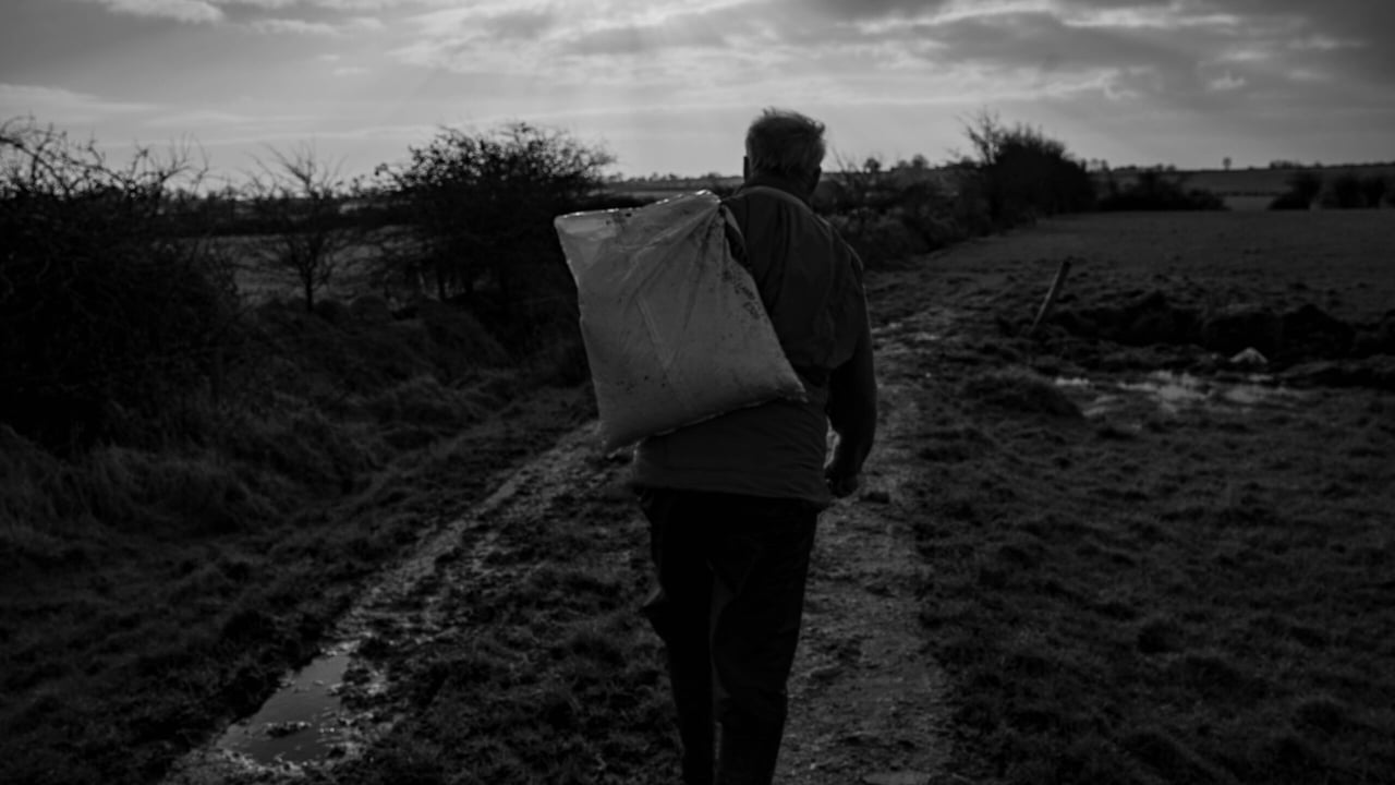 The price of low-cost: Irish food chain systems accused of ‘perpetuating rural poverty’