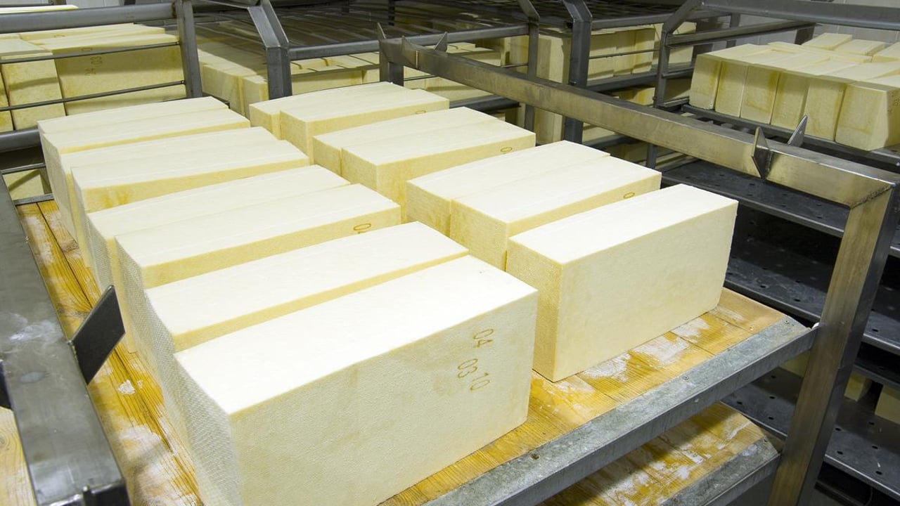 ‘Independent strategic review’ to examine future of NI’s agri-food sector