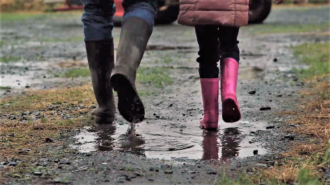 HSE launches farm-vehicle safety campaign