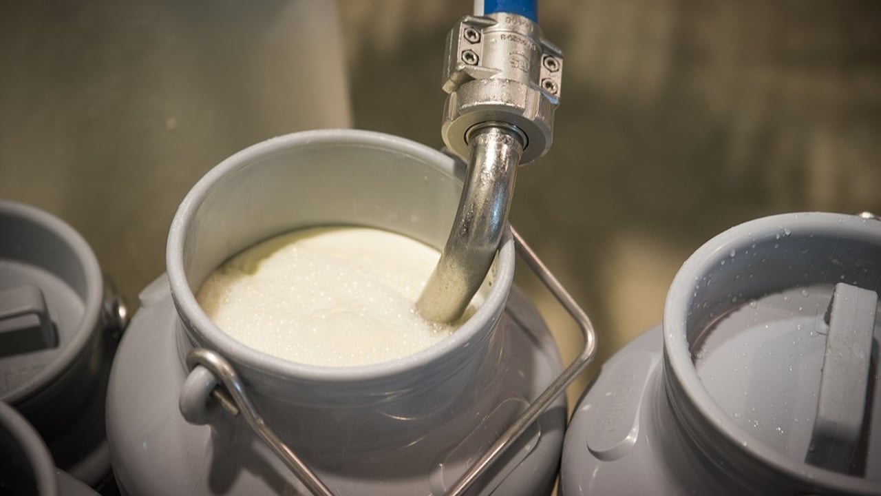 Farm milk production remains high despite drop in dairy farms