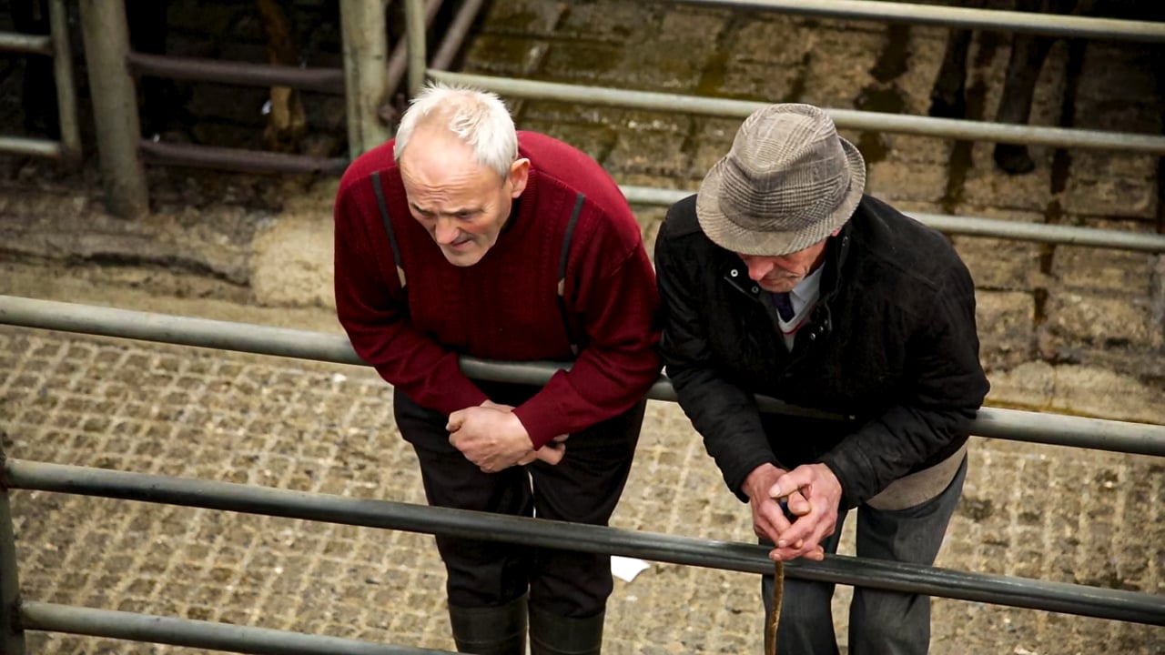 Lump Sum Exit Scheme means farmers ‘shouldn’t feel guilty for retiring’ – Old Mill