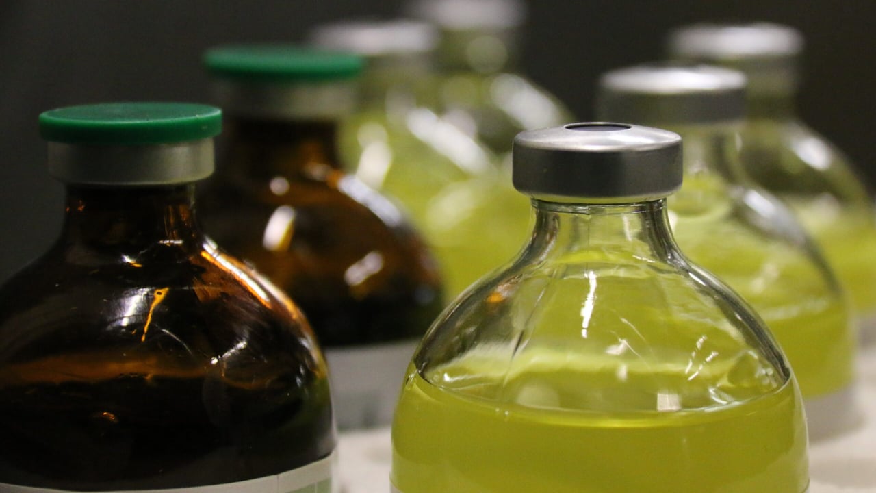 International dialogue to push for action on antimicrobial resistance