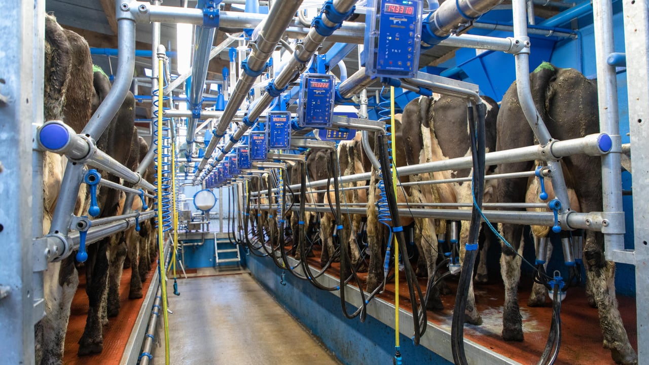 Muller and First Milk reveal increase in milk prices