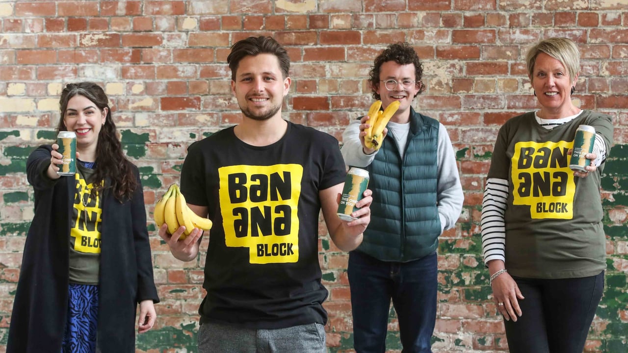 Project underway to grow bananas …in Belfast!