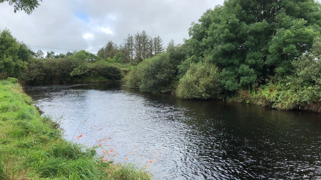 £11 million boost to help preserve Welsh wildlife