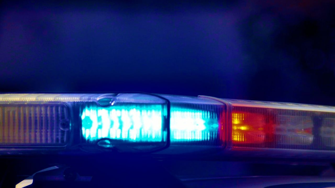 2 people arrested after dispute at Carlisle Limousin sale