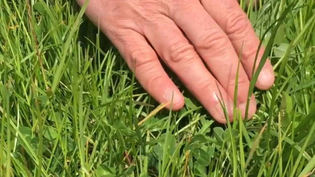 UK farmers urged not to miss out on 230% R&D tax credit