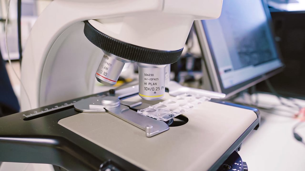 APHA seeks lead animal scientist