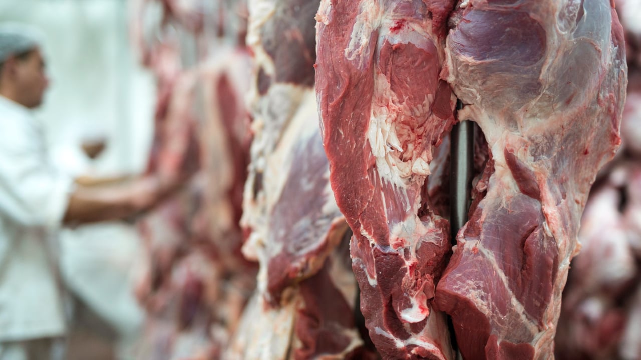 CMA finds competition concerns in veterinary business merge