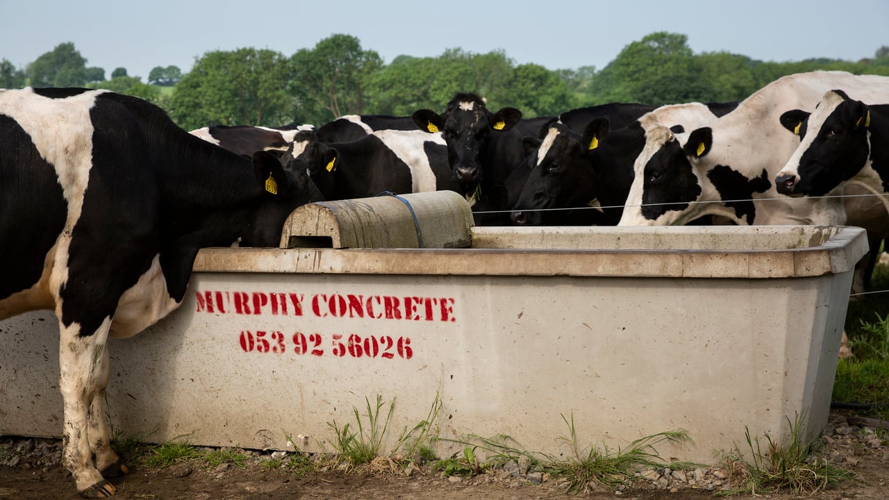 Testing the quality of your farm’s water supply