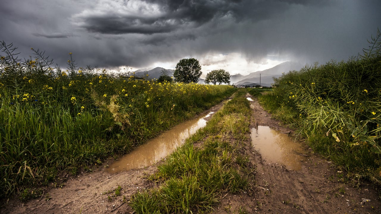 Thunderstorm warnings issued with risk of lightning and hail