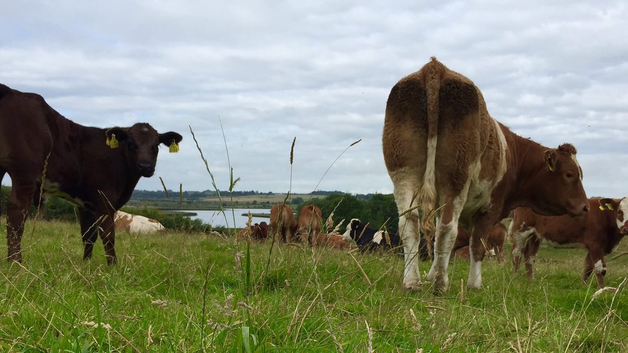 First Sustainable Farming Incentive agreements for 2024 go live