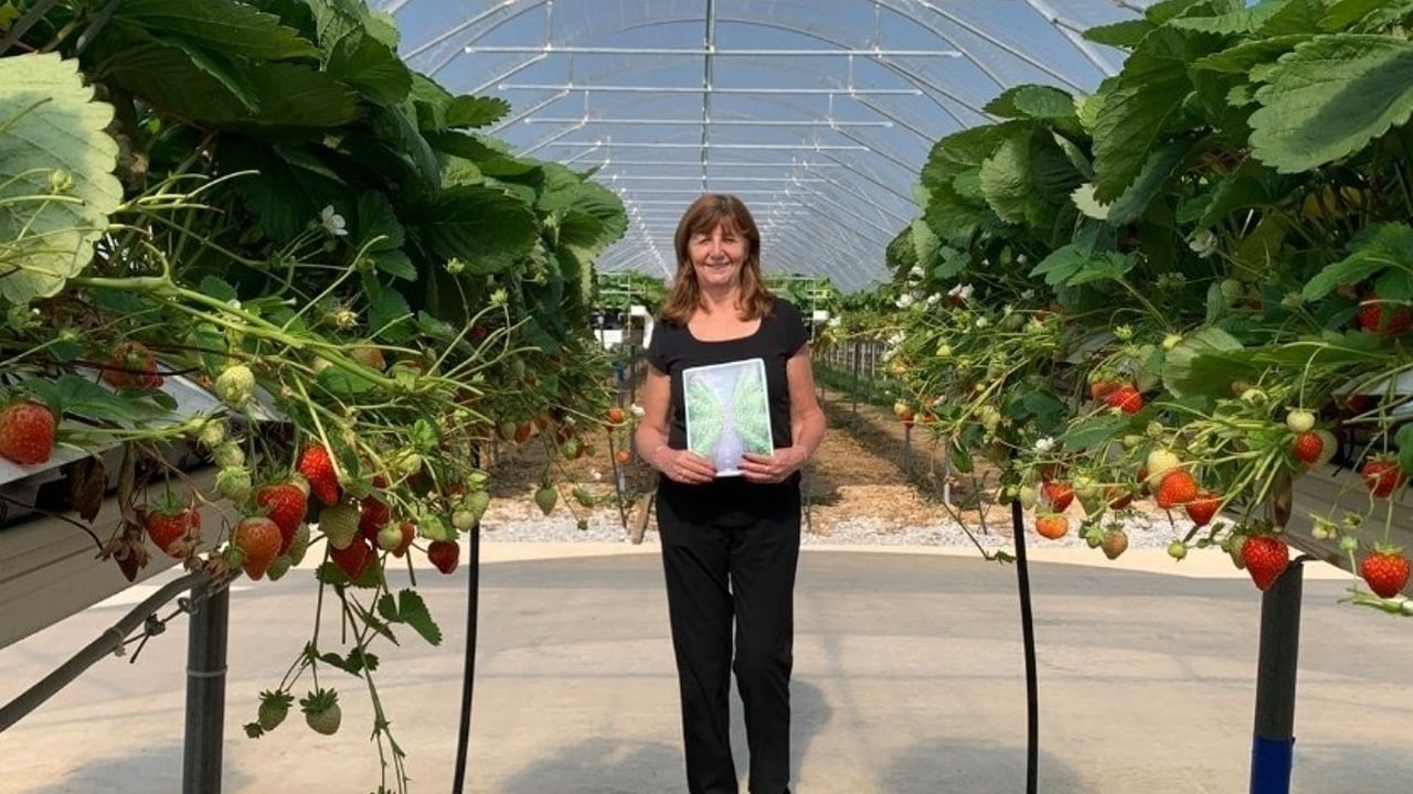 New vision to help increase innovative food growing in Wales
