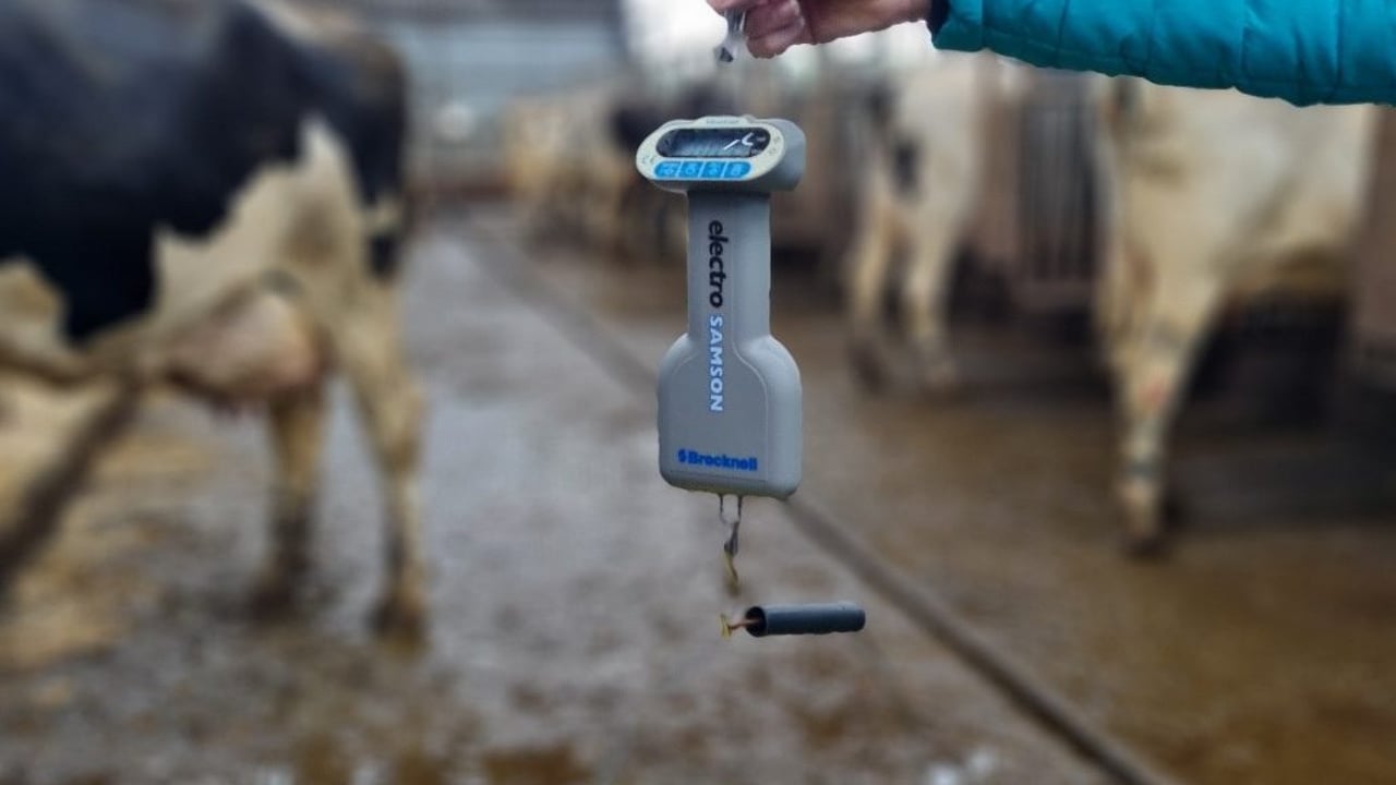 Feeder inaccuracy of up to 15% found on NI dairy farms