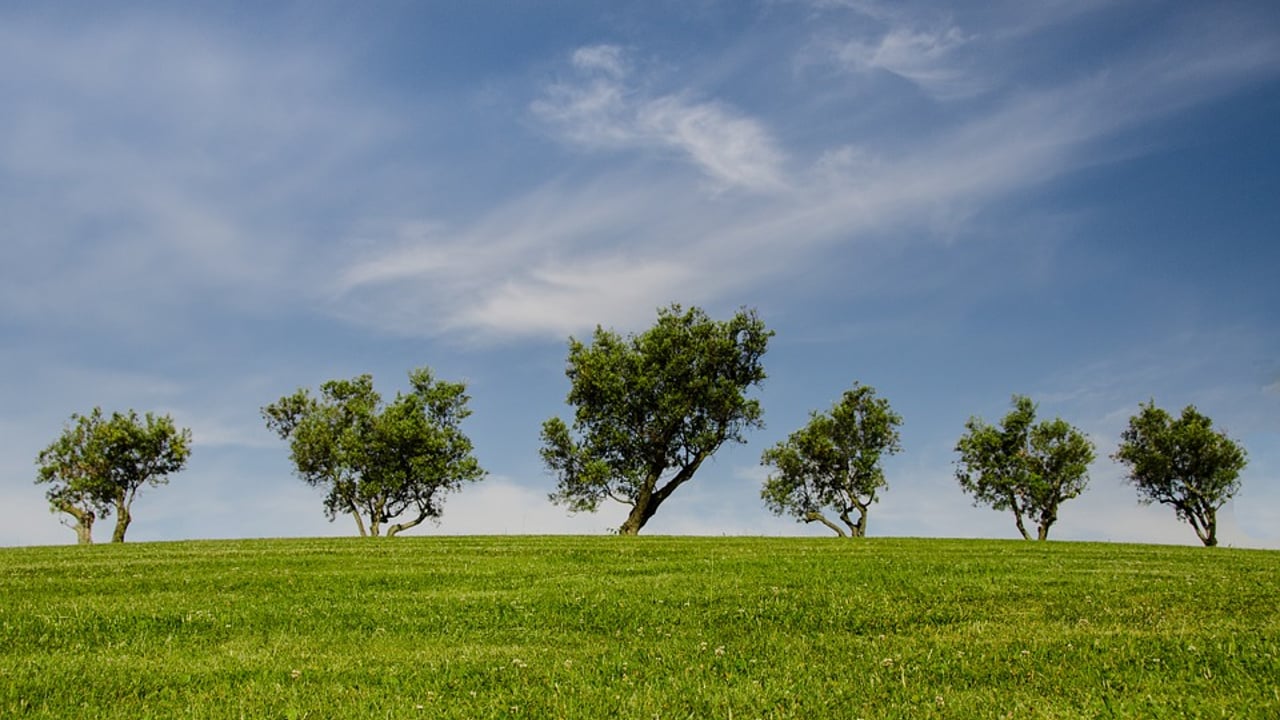 £47m to address critical environmental challenges facing the UK