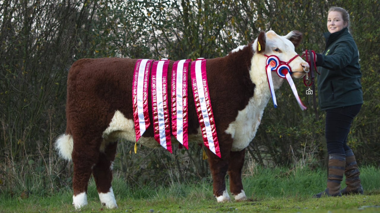Inaugural Genetic Gems sale sees top price of €9,000