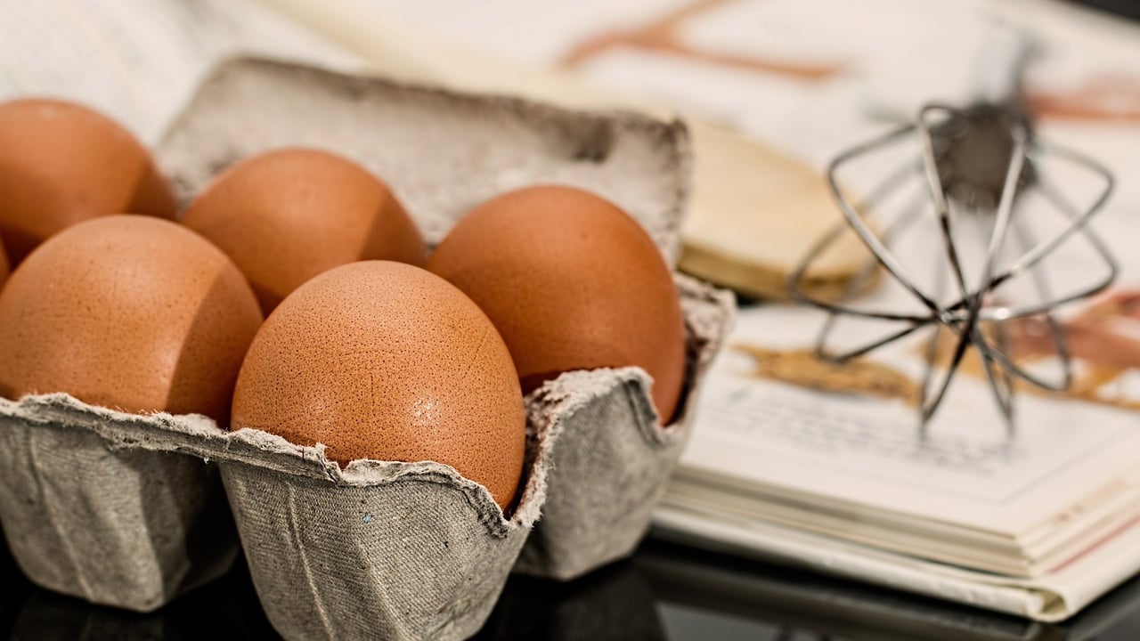 BASF and KWF launch first British Farming Bake Off