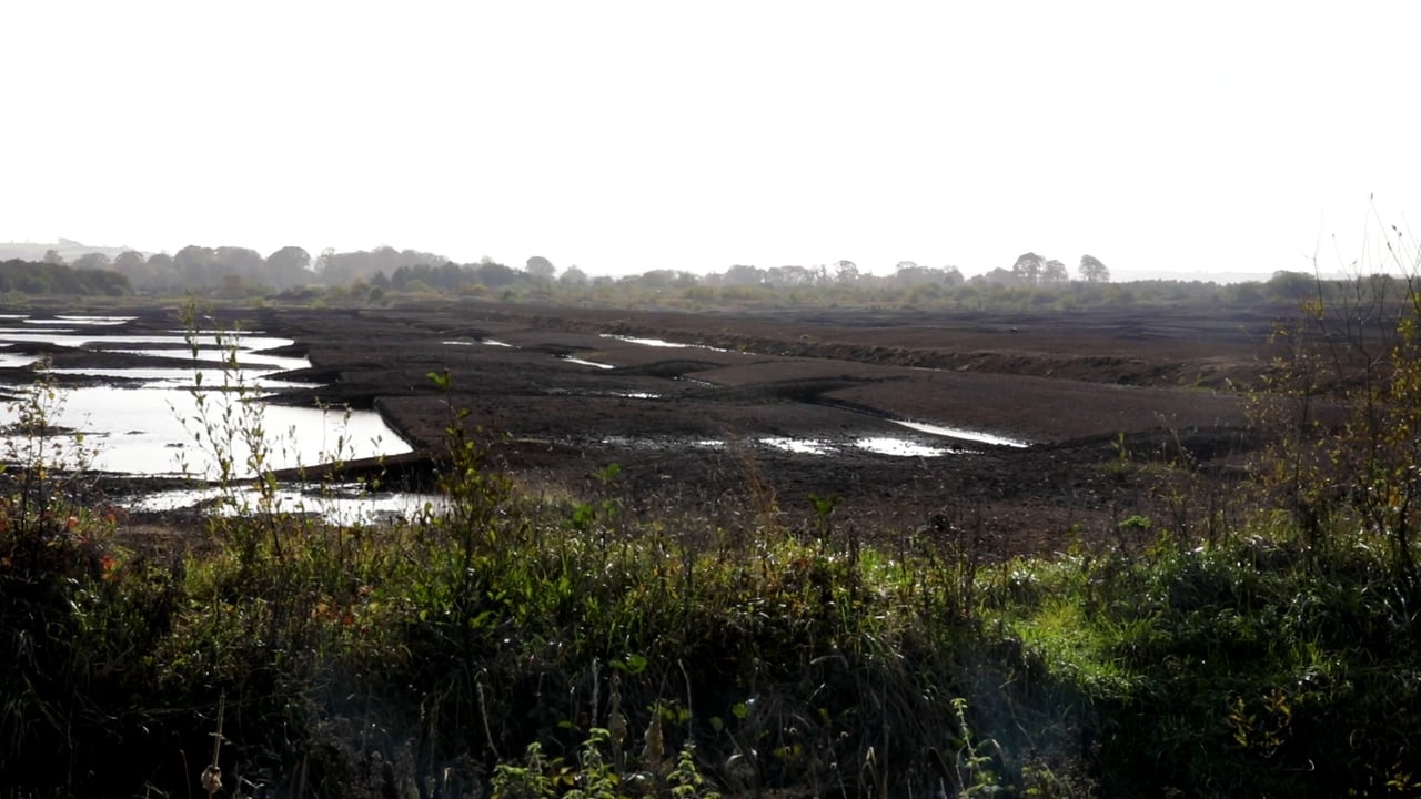 Report: Peatlands could reduce GHG emissions by 800m tonnes per year