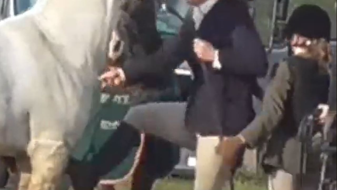 Video: Woman caught kicking and punching horse