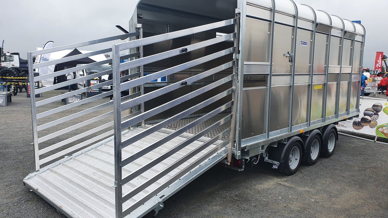 DAERA issues advice on new BVD requirements for cattle moving south