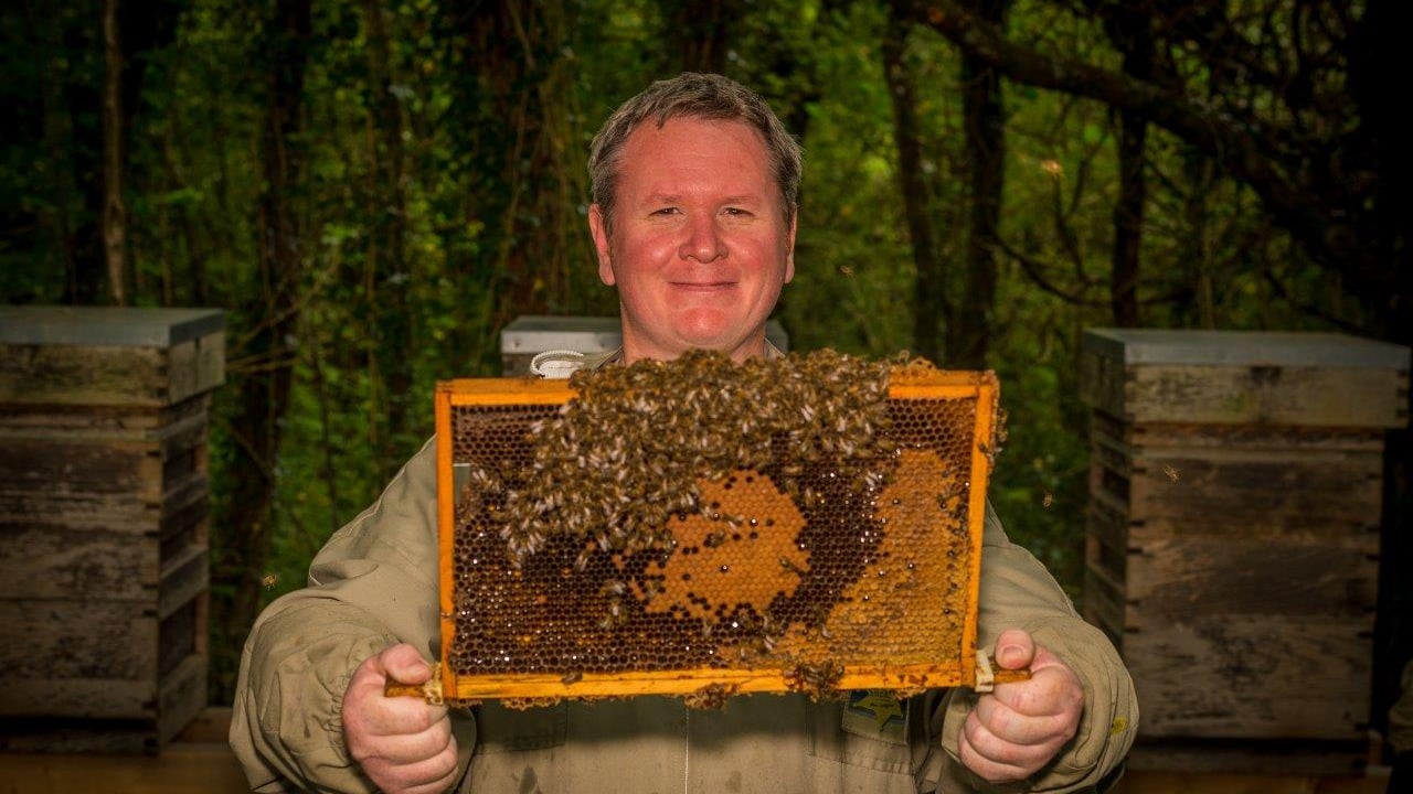 Prestigious sustainability award is won by a Welsh bee farm