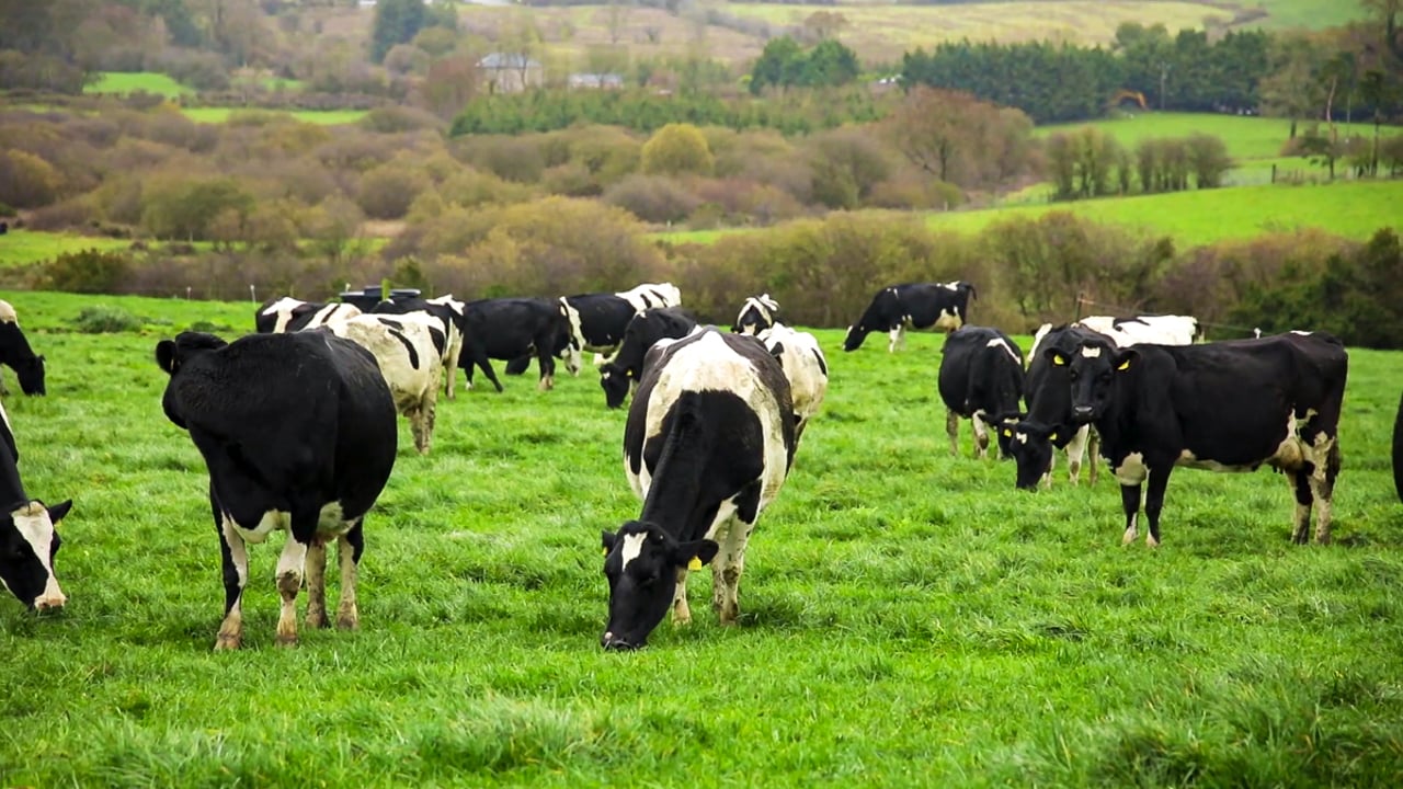 Lack of emissions disclosures among animal protein producers – FAIRR