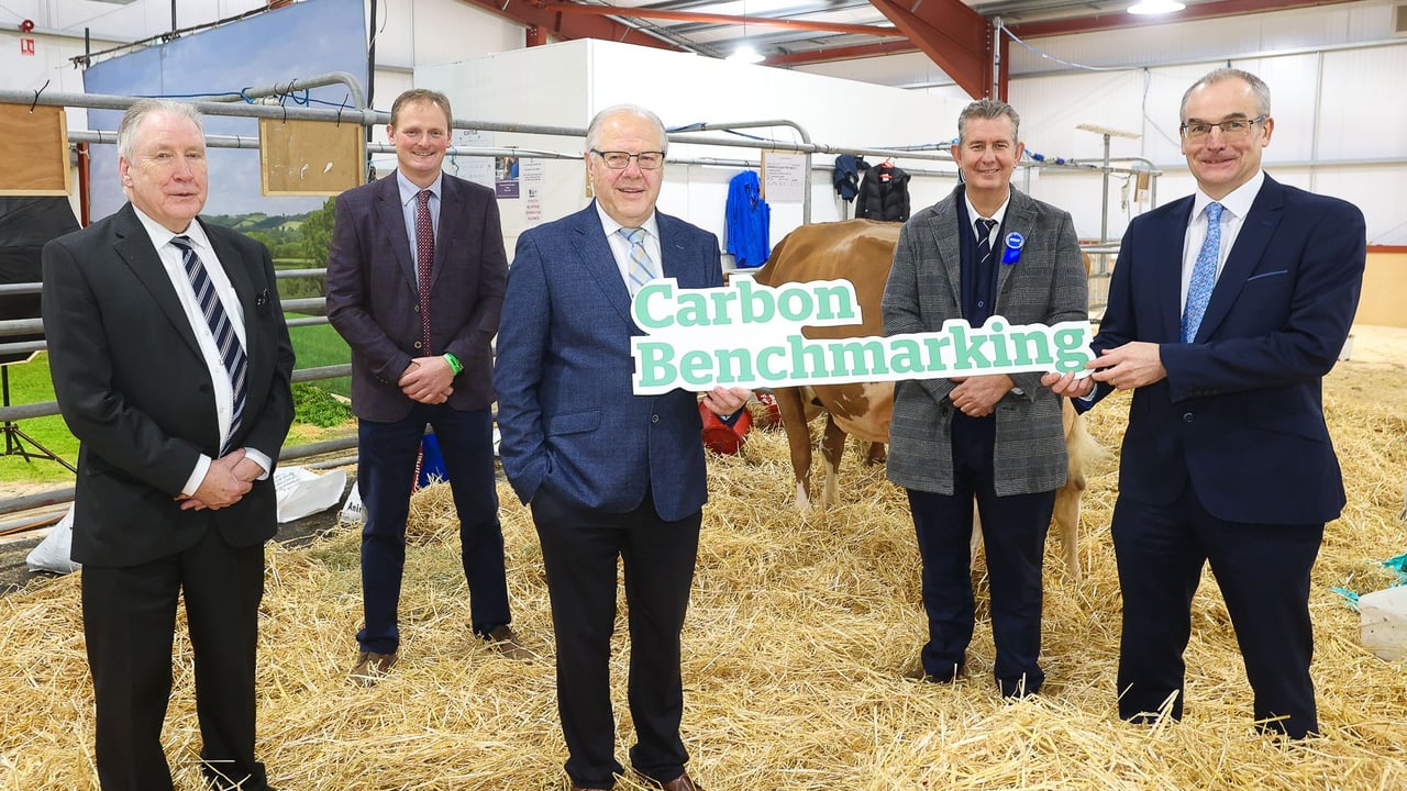 New NI initiative to tackle dairy sector carbon emissions