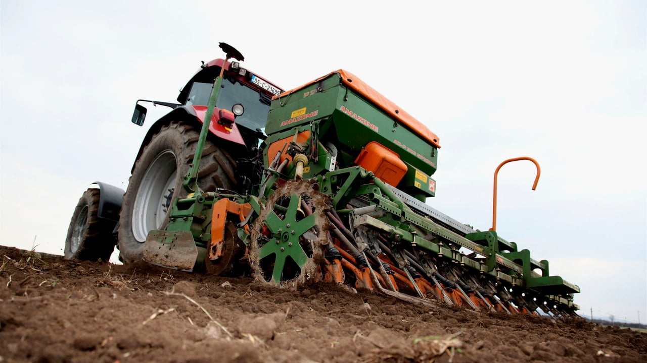 Tillage: Are you practicing a five-minute fallow policy?
