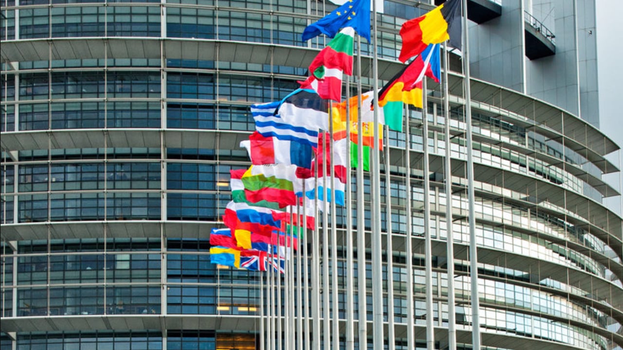 EU audit deems NI goods checks ‘not fit for purpose’
