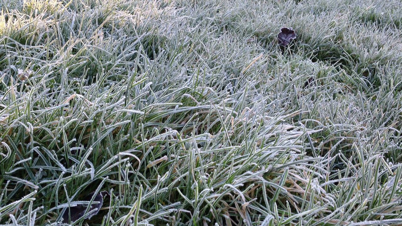 Cold weather alert extended until January 10