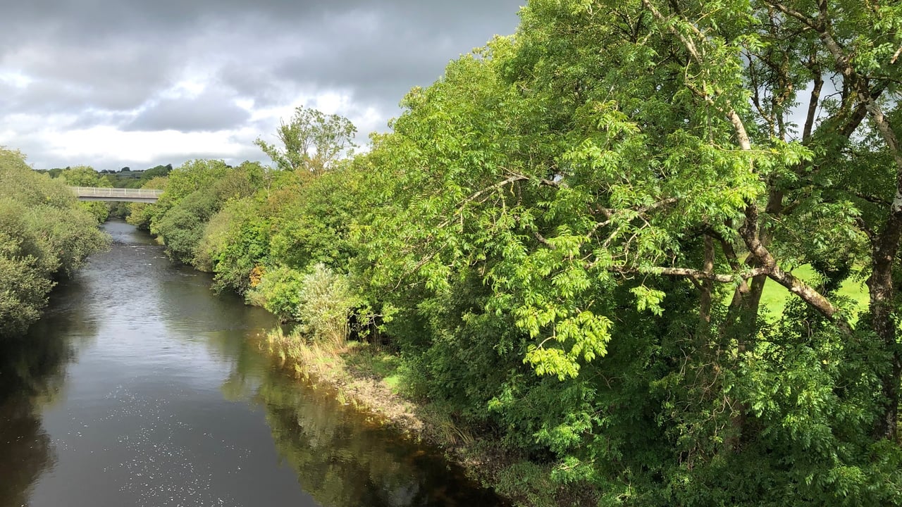 New campaign to stop alien species threatening Irish waterways