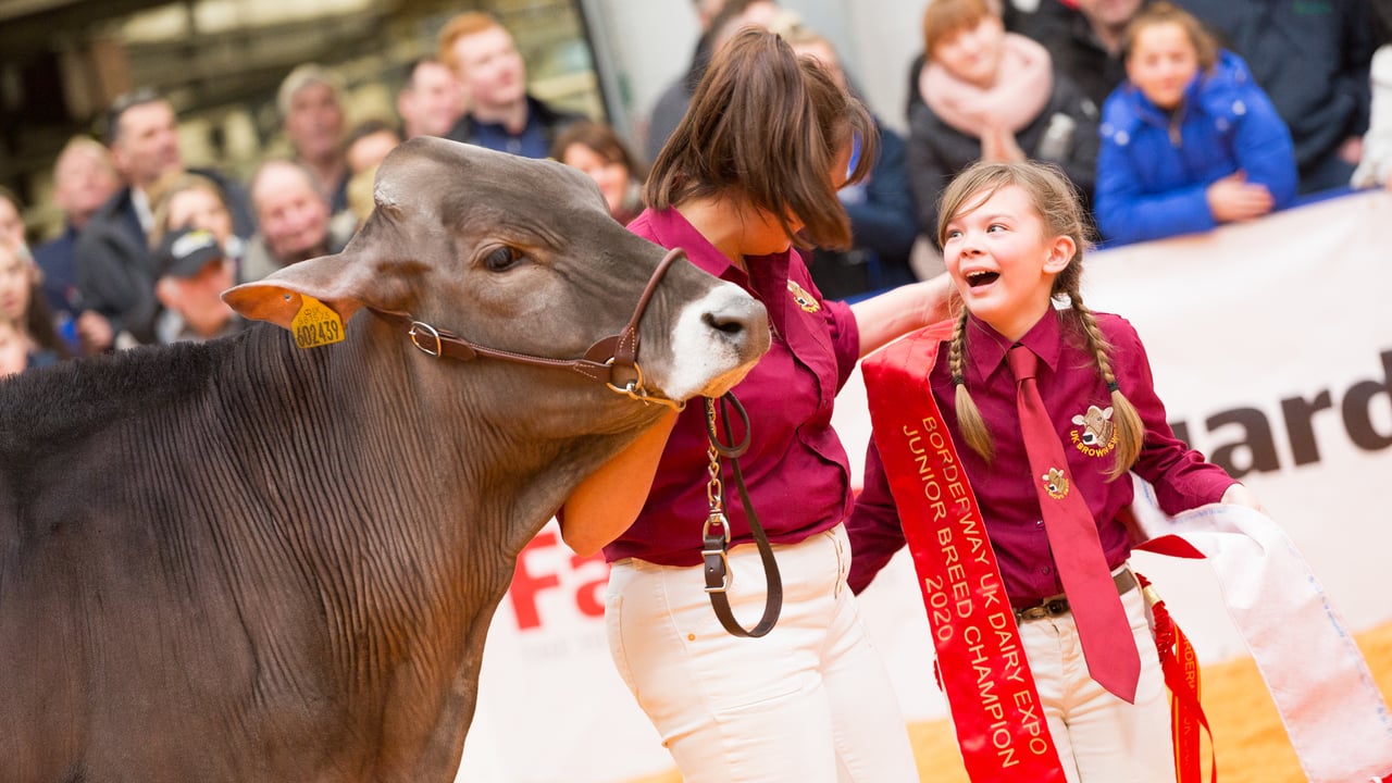 Borderway Dairy Expo returns with an all-female judging panel