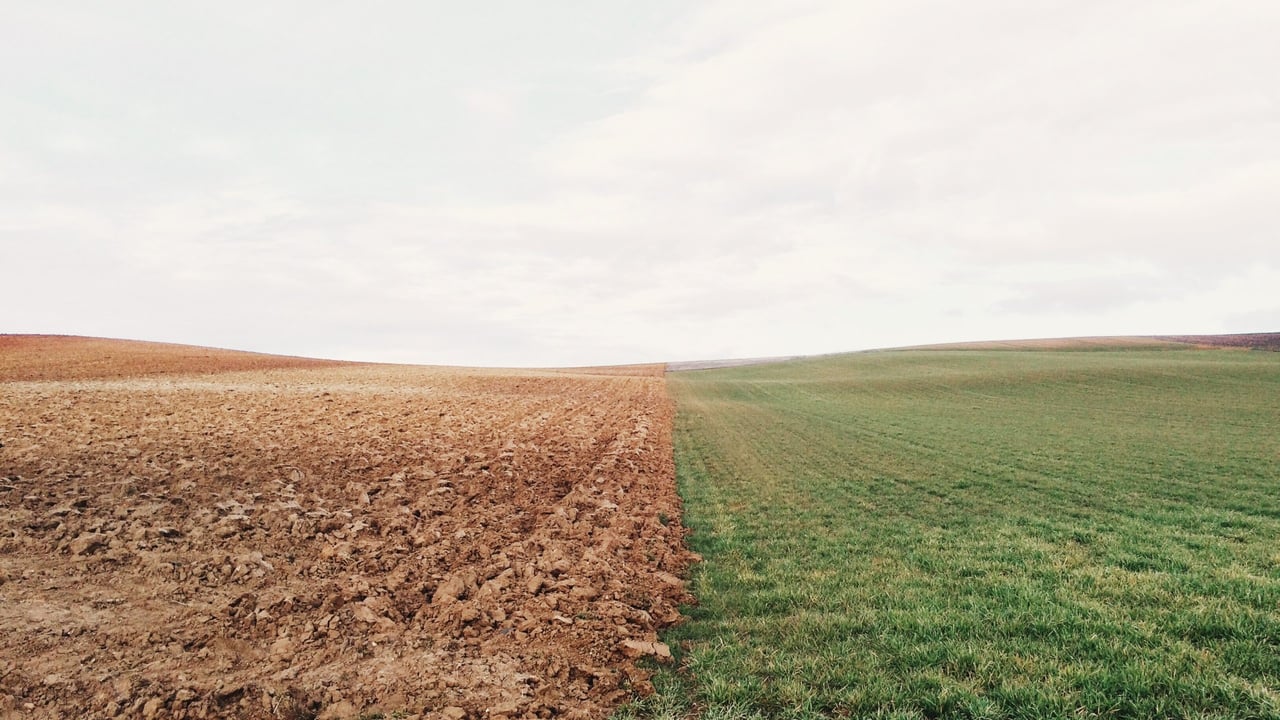 Investment in soils could not only benefit the environment – research