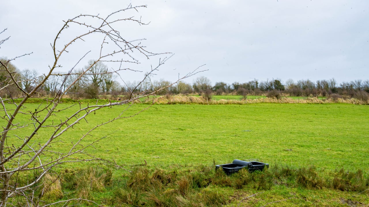New environmental targets set by the government