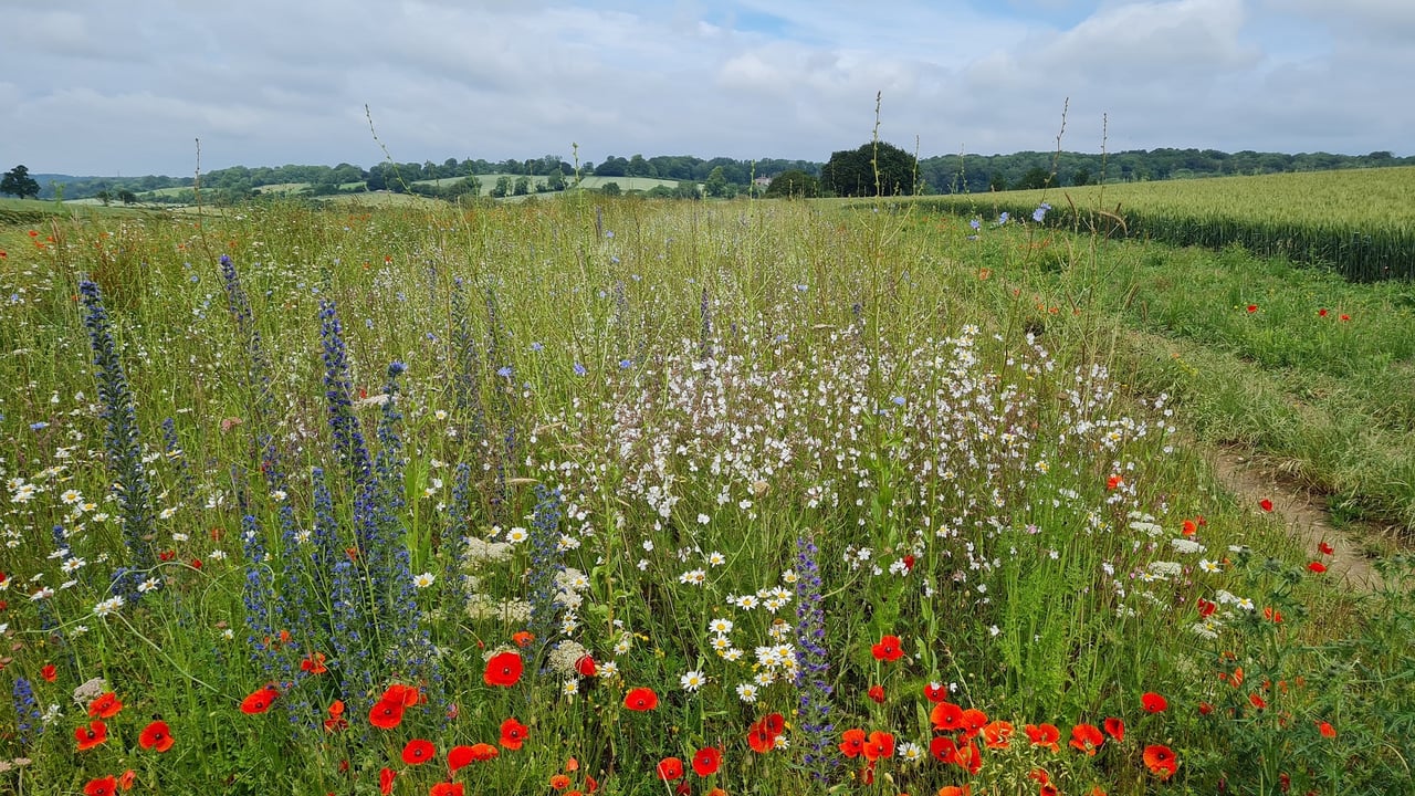 More action needed to protect nature – Coffey
