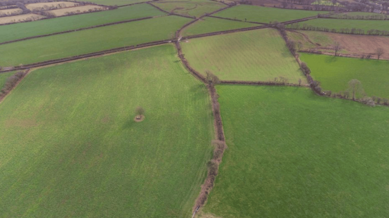 Farmland values reach six-year high – Strutt & Parker