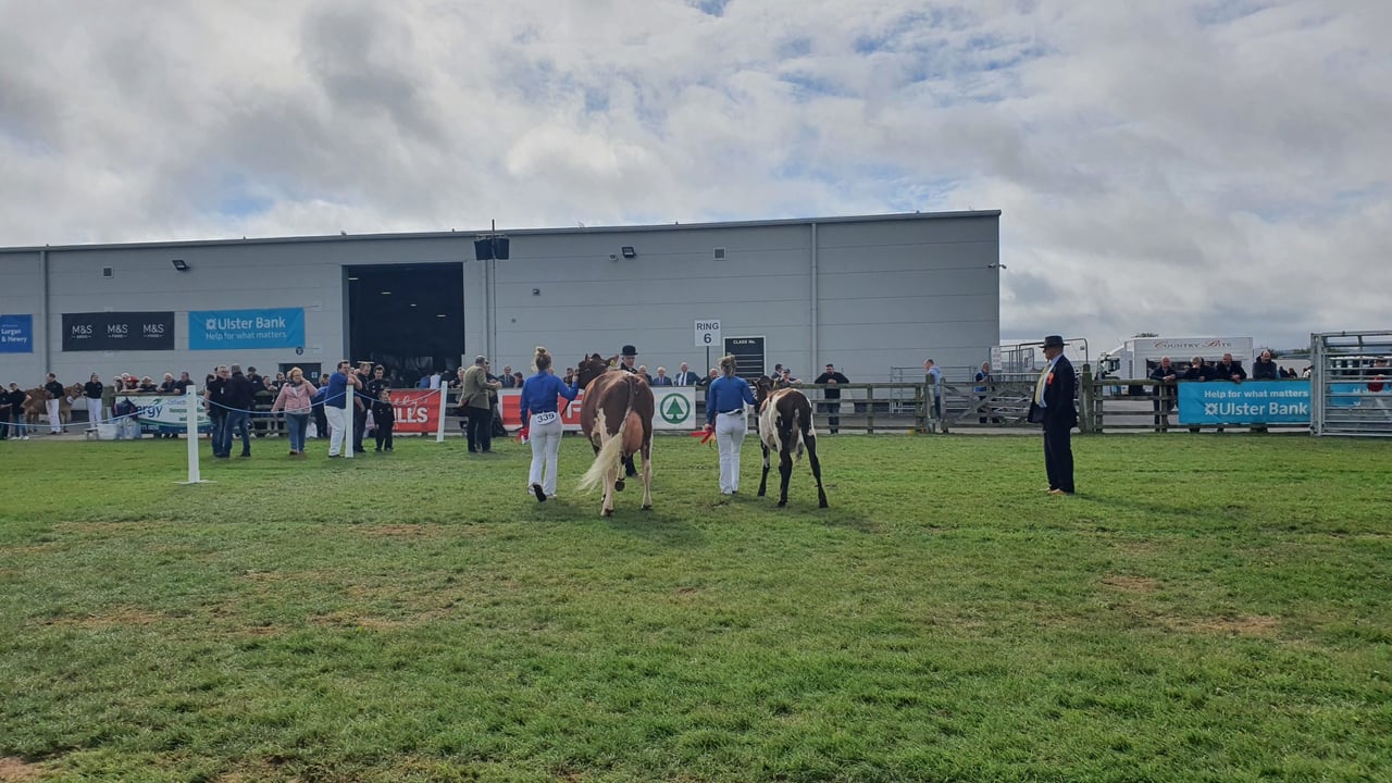 M&S to showcase local agriculture at Balmoral 2022
