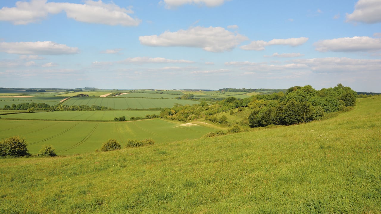 New Environmental Farmers Group sets out its ambitions