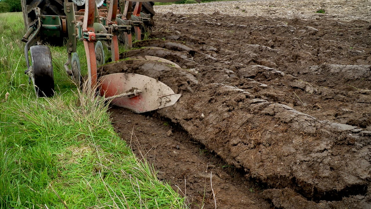 Co. Down cereal grower questions the role of a Tillage Incentive Scheme