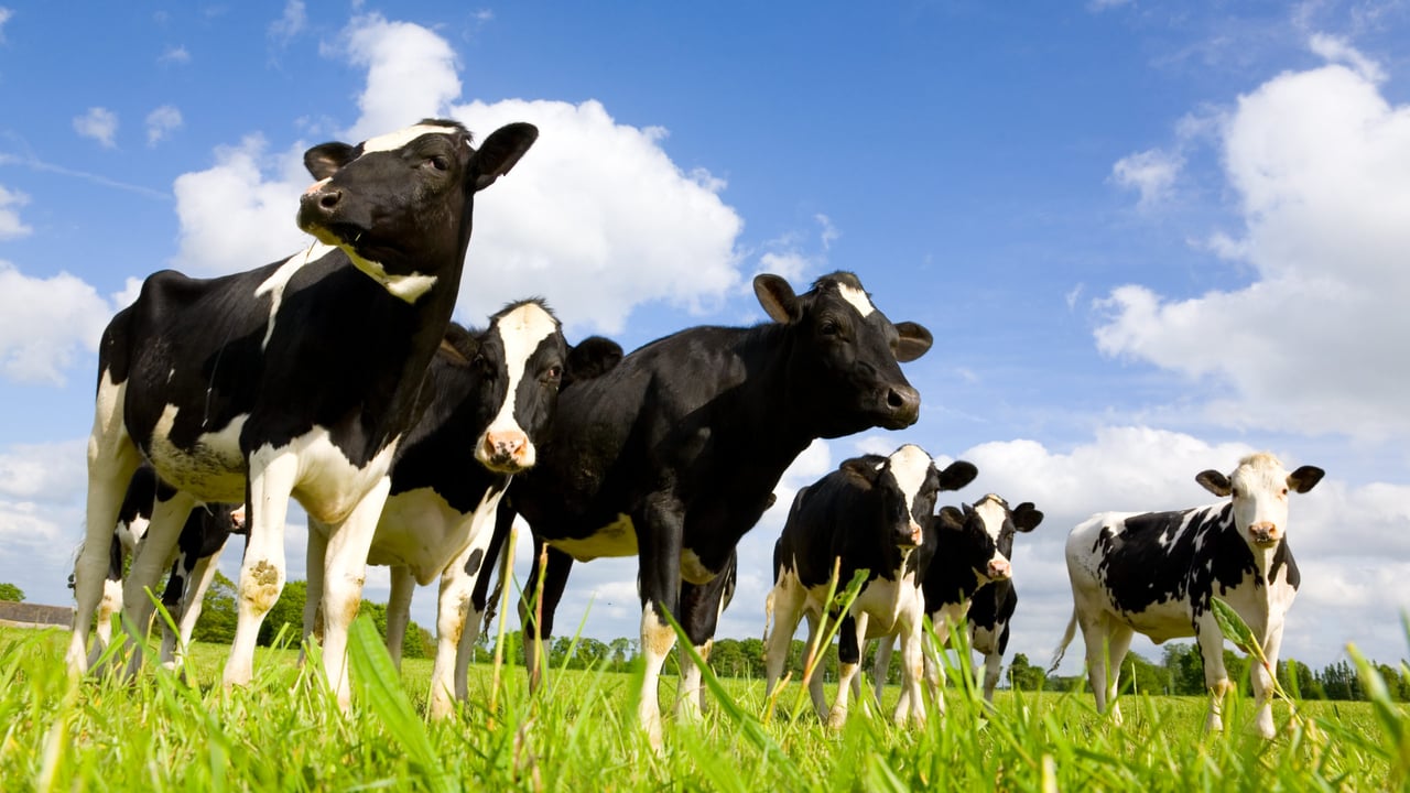 Milk output decreased by 5.9% in 2023 – DEFRA