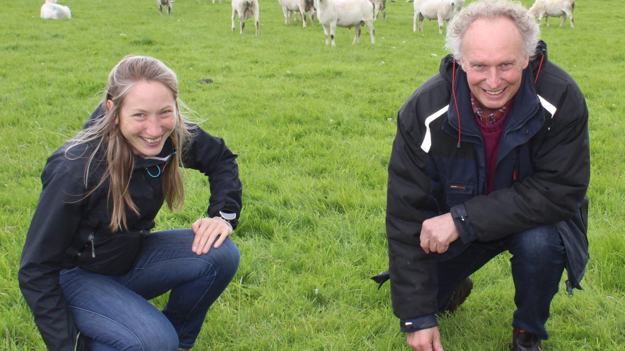 Performance recording is the ‘true basis’ of sheep selection