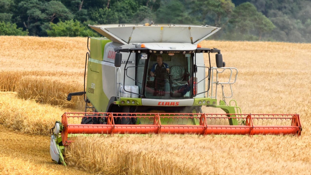 Experts warn that ‘excessive’ commodity speculation threatens food security