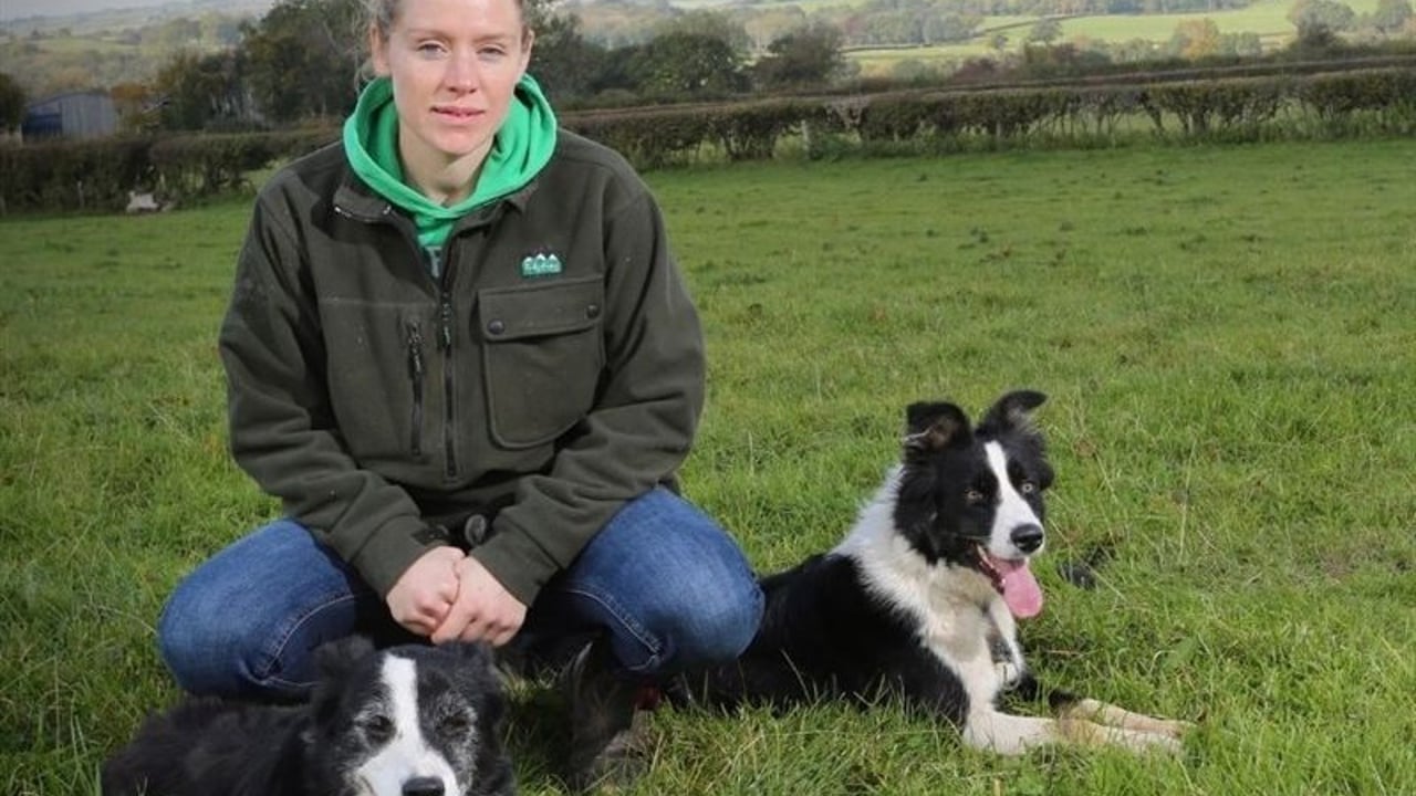 Search is on for Wales Woman Farmer of the Year 2022
