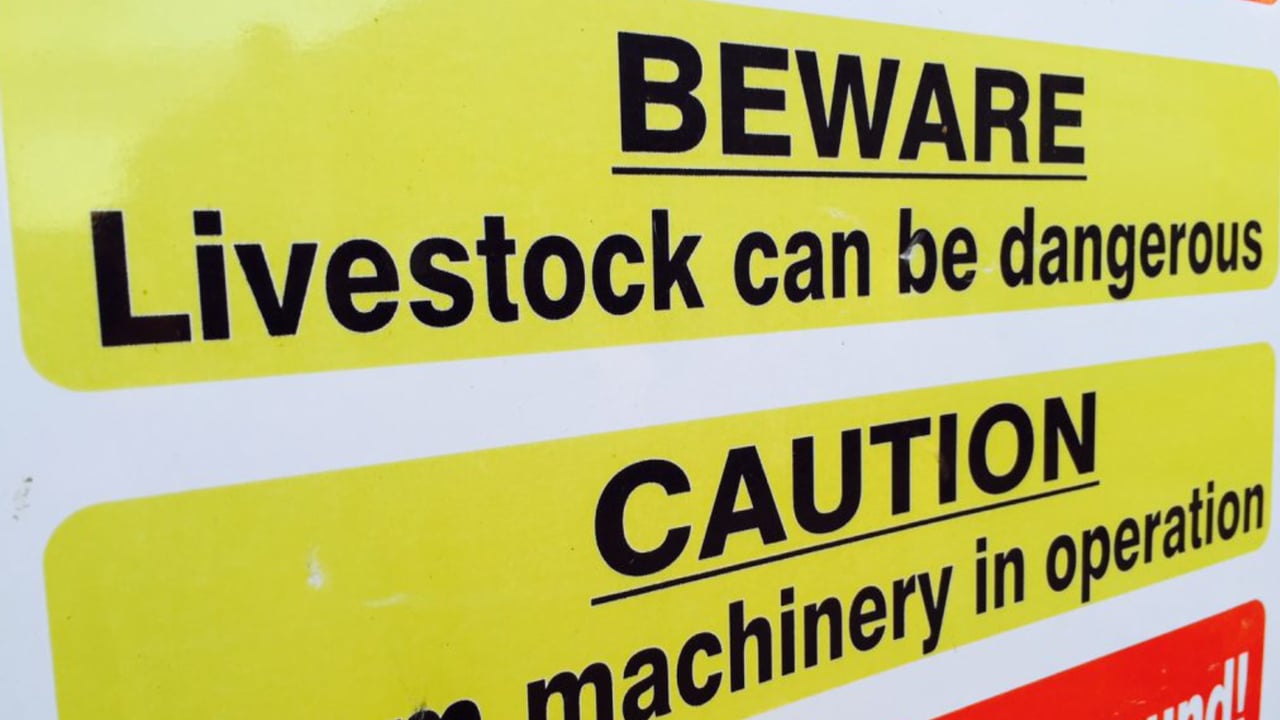 21 killed in agri-sector work-related incidents last year