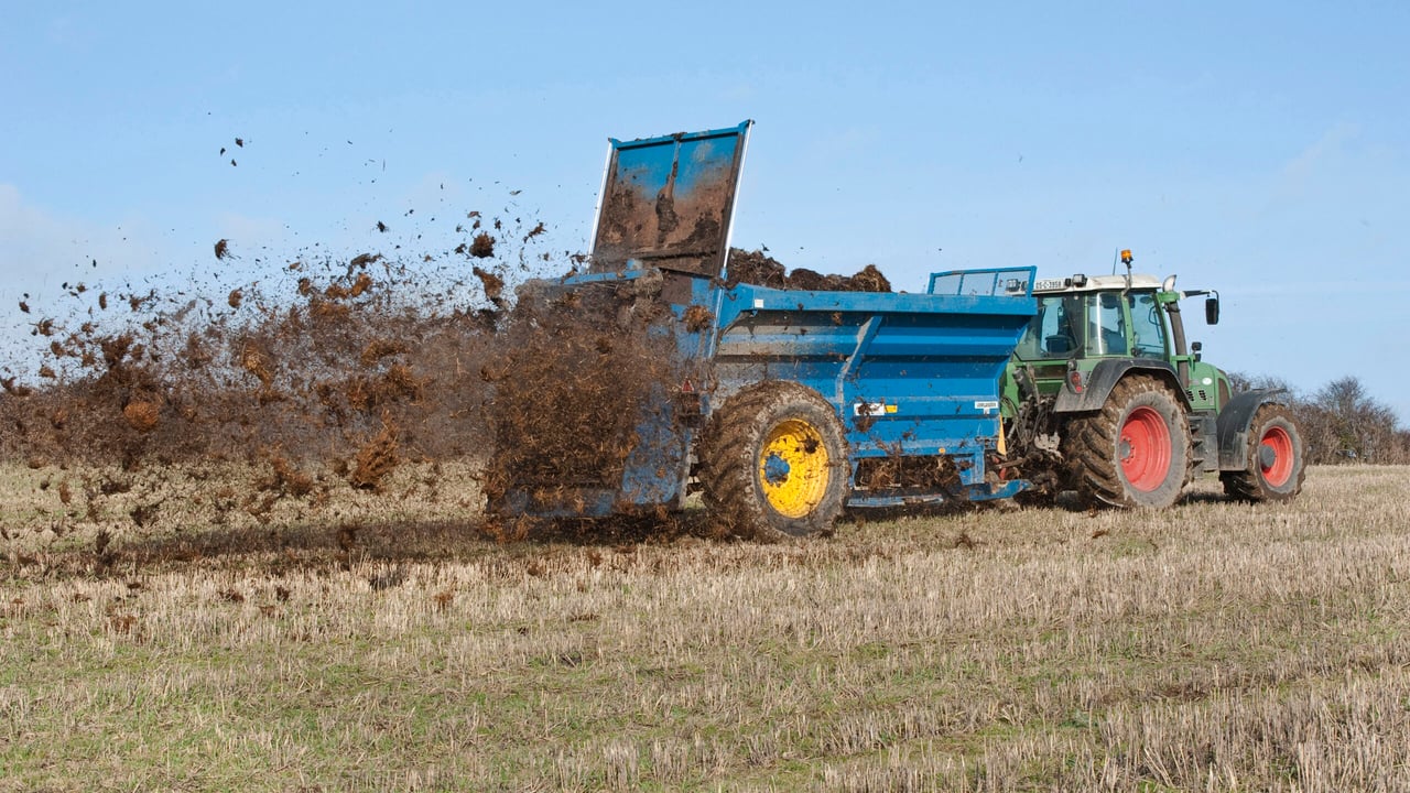 The inter-relationship between sulphur and nitrogen