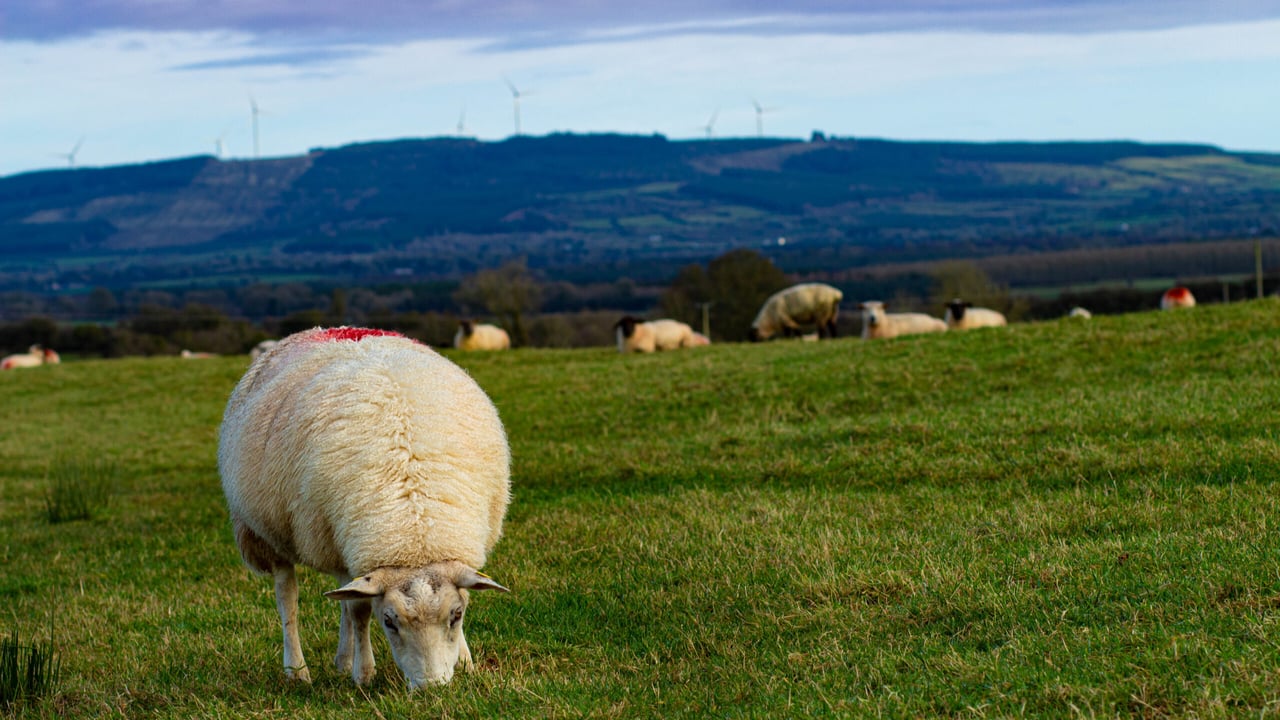 Spring budget must do more to encourage farm investment – CAAV