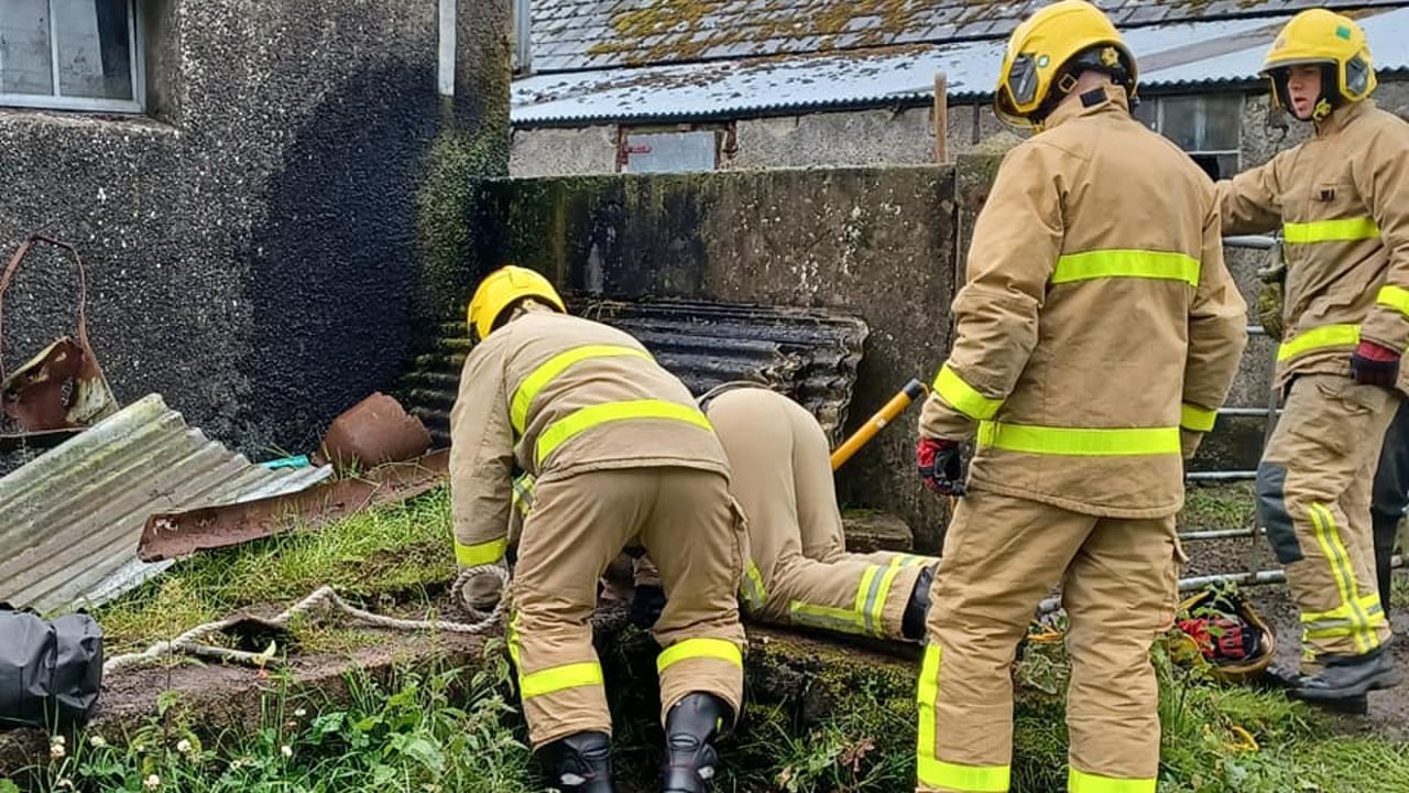 Pics: NIFRS rescues calf from slurry pit in Antrim