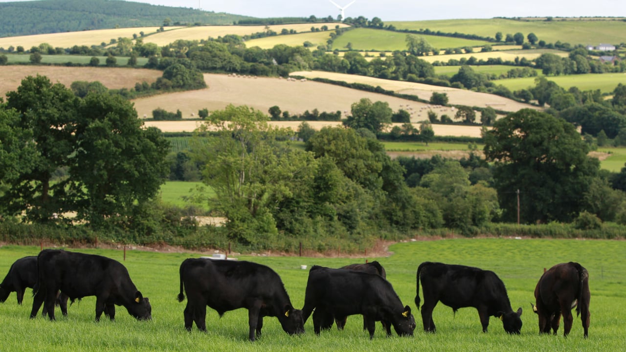 Farming orgs welcome Windsor Framework but raise concerns