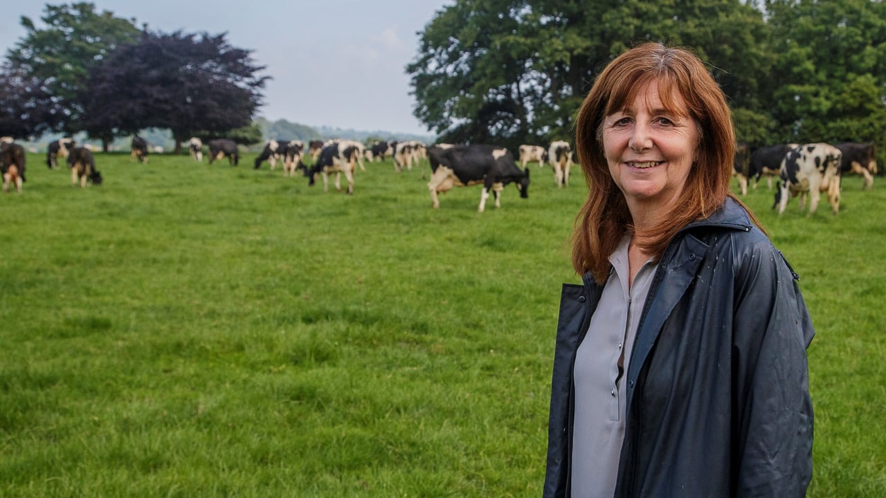 Rural Affairs minister to visit Anglesey Show today
