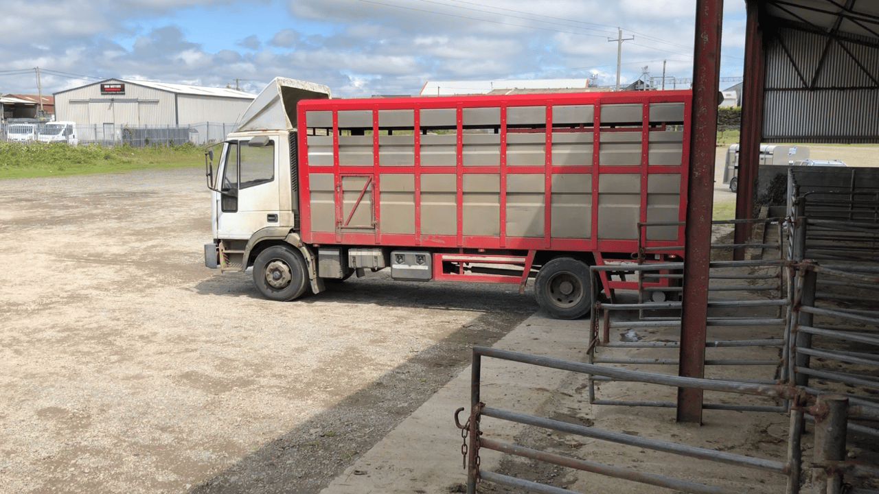 NI lamb exports to ROI running ahead of 2021 levels